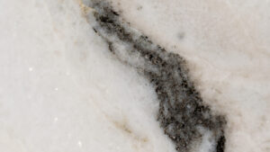 Paloma-White-Polished-Marble-Blk1333-2-1-scaled