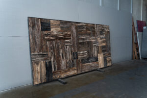Petrified Wood Precious Stone Blk#4566(3)