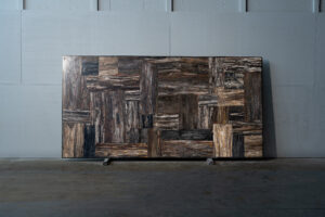 Petrified Wood Precious Stone Blk#4566(5)