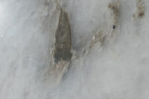 CRISTALLO (1)